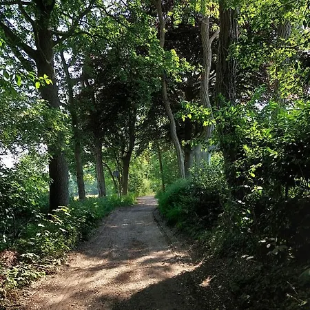 度假居 Boshuis Golfzicht 