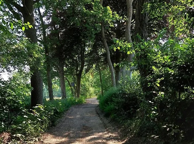 Semesterbostad Boshuis Golfzicht 