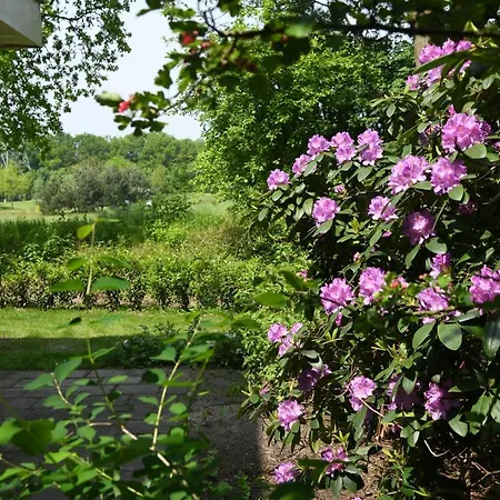 Boshuis Golfzicht Wellness, Golf&nature